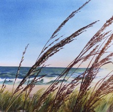 Sea Grass & Morning Sun